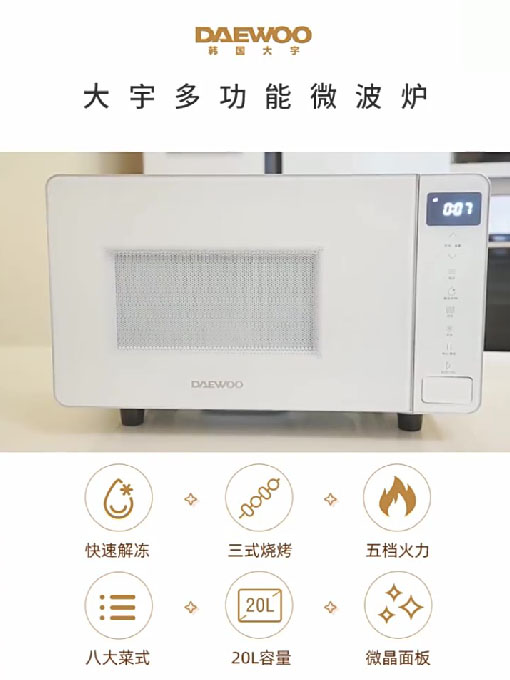 DY-WB01微波炉