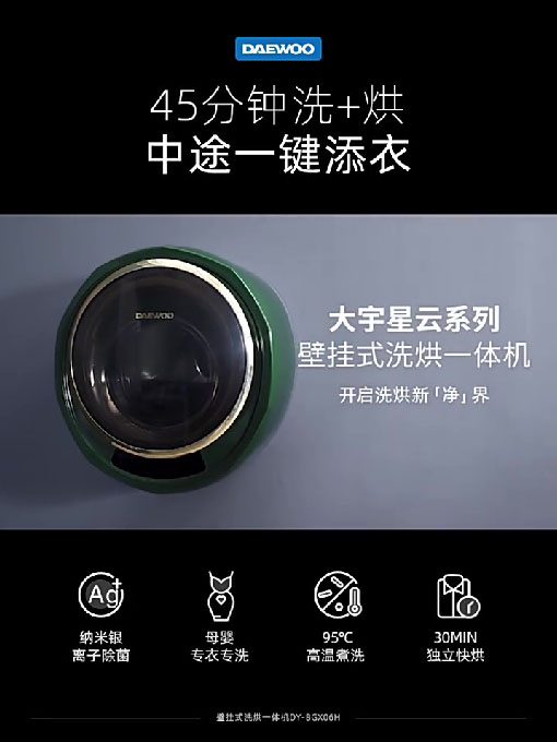 DY-BGX06H全自动壁挂滚筒洗衣干衣机