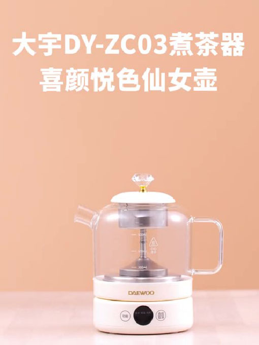 DY-ZC03煮茶器
