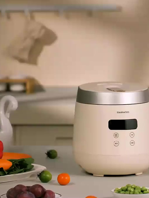 DYFB-205H电饭煲