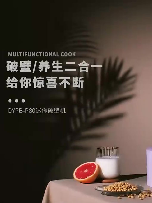 DYPB-P80破壁膳食杯