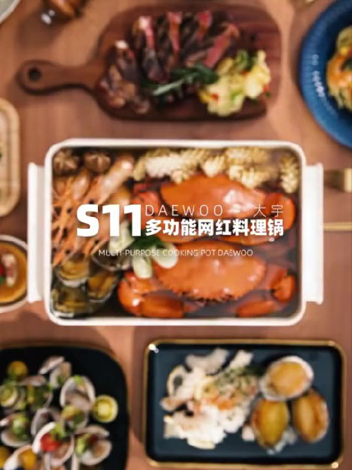 S11PRO多功能烤盘