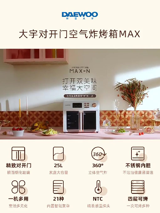 DY-HKX01空气烤箱