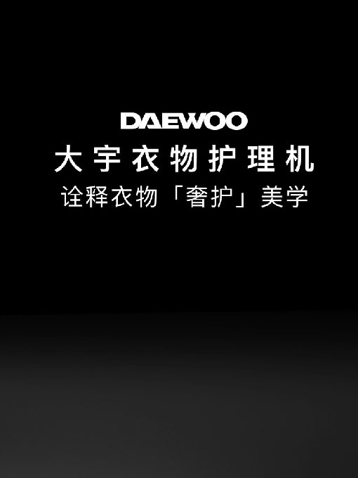 DY-HL01M衣物护理机