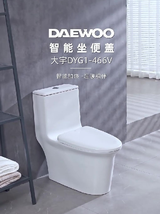 DYG1-466V智能马桶盖