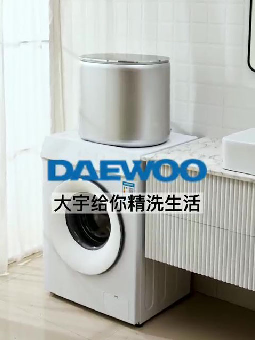 DY-TX02全自动洗衣机