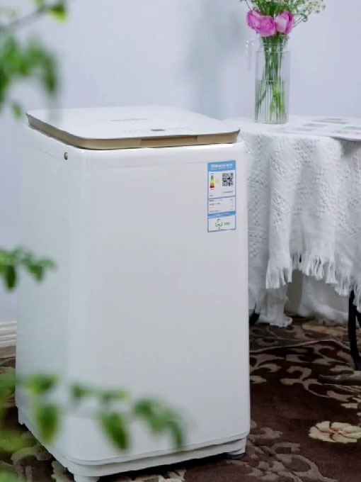 DY-ZX30全自动洗衣机（白）