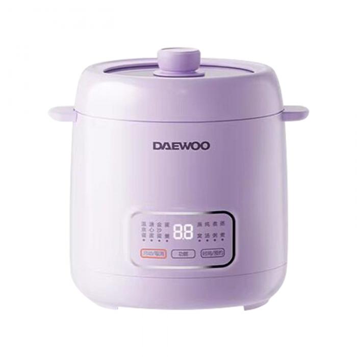 DY-DZ06液体加热器